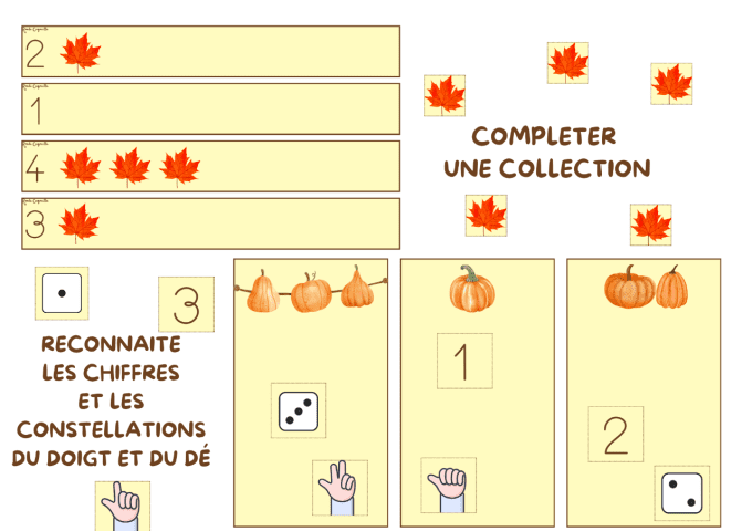 Activités Automne à partir de 4 ans