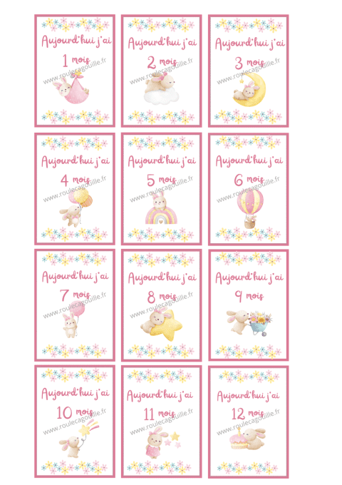 Cartes pour photos mensuelles -lapin-