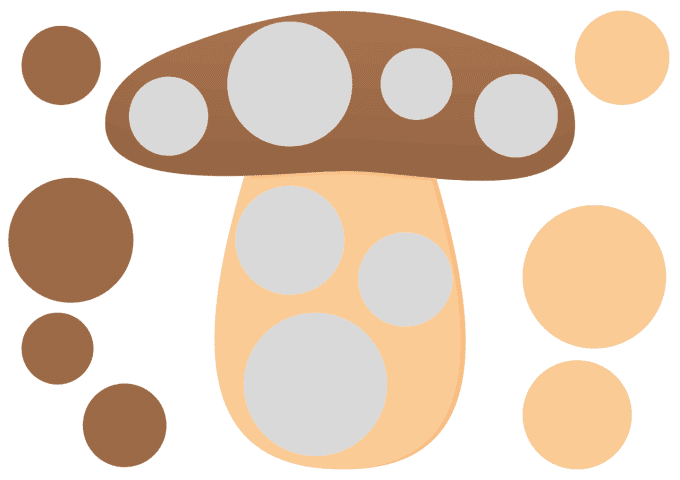 Activité champignon