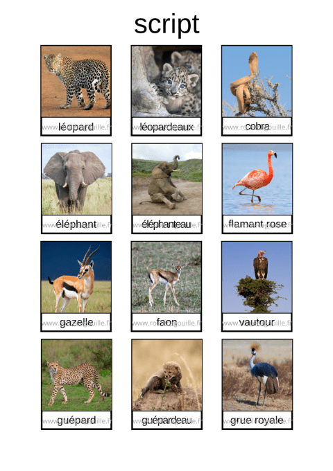 Les animaux de la savane