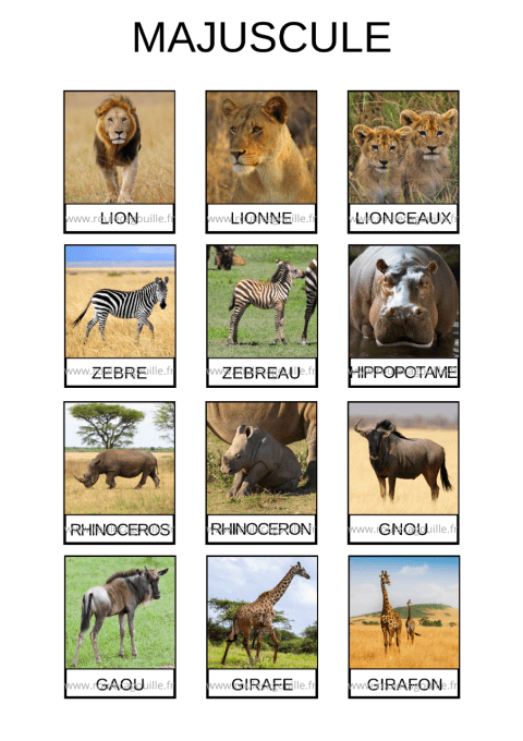 Les animaux de la savane