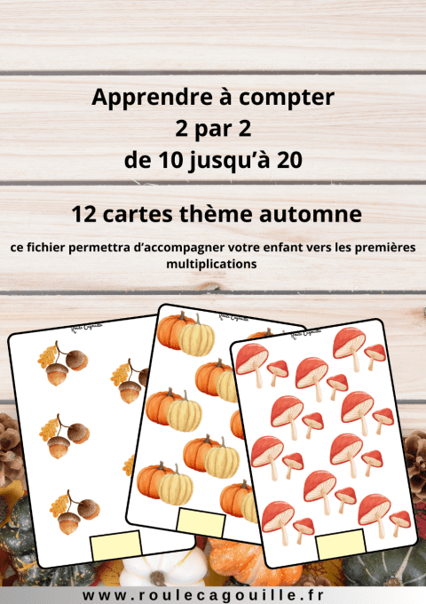 Cartes à compter 2 par 2 