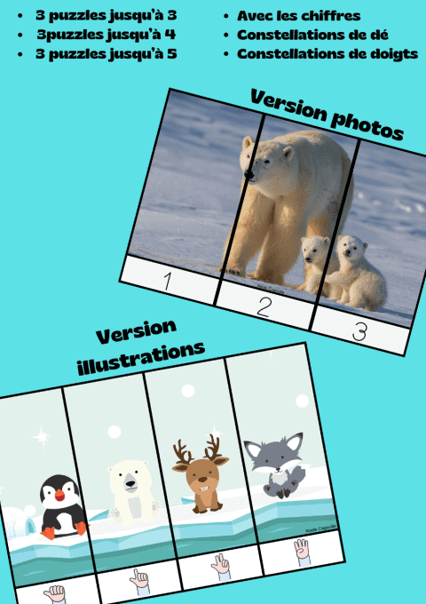 Puzzles numériques Animaux du froid