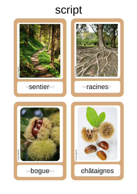 19 Cartes vocabulaire Forêt