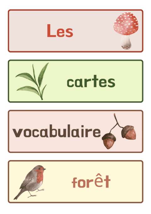 19 Cartes vocabulaire Forêt