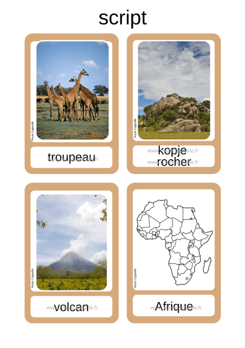 15 Cartes vocabulaire Savane