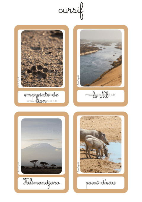 15 Cartes vocabulaire Savane