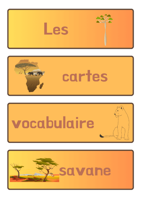 15 Cartes vocabulaire Savane